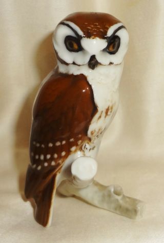 Vintage Hutschenreuther Lion Mark - Selb Germany - 2 3/4 " Owl On Branch