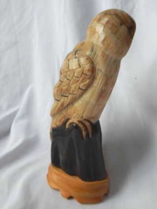 Owl Sculpture Carved Buffalo Horn 5