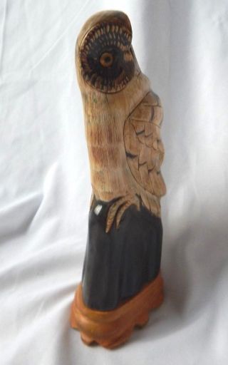 Owl Sculpture Carved Buffalo Horn 6