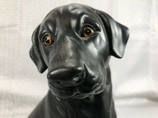 Black Lab Dog Figure With Soulful Eyes 12” Height