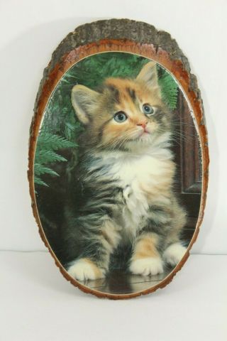 Kitten Decoupage Wood Plaque Cat Lady Picture Kitsch Kawaii Fluffy Wall Art Gift