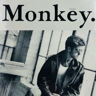 George Michael Monkey 44 - 07849 Vinyl (m)