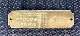 1908 Almond Wisconsin Dog Tax Tag Dog License Tag Vintage Token Exonumia