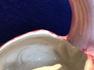 Graceful Flamingo Ceramic Planter 6