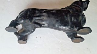 Vintage Cast Iron Dachshund Dog Still Bank 4