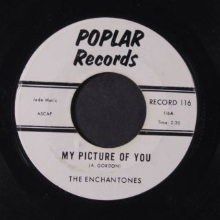 Enchantones: My Picture Of You / We Fell In Love 45 (wol) Rare Vocal Groups
