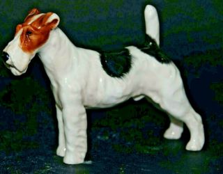 Fine Quality Royal Doulton Wired Airedale Terrier - Rare - L@@k