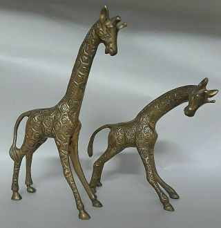 Lof Of 2 Brass Giraffe Figurines Desk,  Shelf Or Table Decor 8 " & 6 " - 21