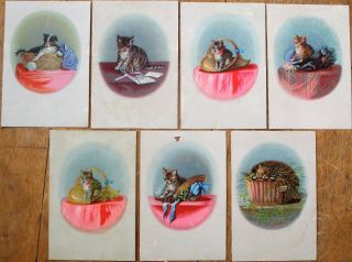 Cats/kittens & Baskets,  Yarn Set Of Seven 1890 Victorian Trade Cards - Color Litho