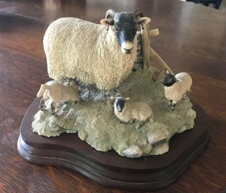 Border Fine Arts - Sheep - " Spring Lambing” Swalesdale On Wooden Base