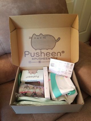 Pusheen The Cat Summer 2016 Subscription Box