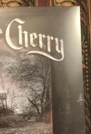 Black Stone Cherry Kentucky Vinyl Lp Limited Edition Green Import 3