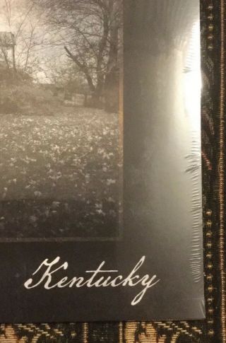Black Stone Cherry Kentucky Vinyl Lp Limited Edition Green Import 4