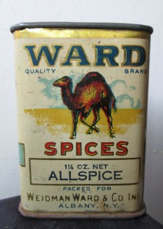 Rare Antique Spices Spice Tin Litho With Camel Weidman Ward & Co.  Albany N.  Y