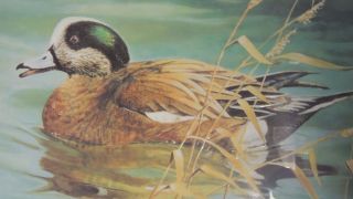 E &J Brandy Ducks Unlimited Mirrored Print Limited 1996 Edition 2