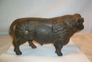 Vintage Cast Iron Bull Piggy Bank - Steer Cow 3