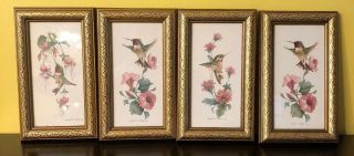 Set Of 4 Carolyn Shores Wrights Hummingbirds & Flowers 1990 
