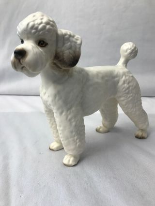Vintage Porcelain Realistic White Curly Poodle Dog Figurine Japan 5.  5 " H X 6.  25 " L