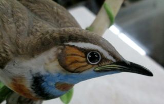 1983 National Audubon Society Blue Throat Bird Arthur Singer Fine Porcelain 4