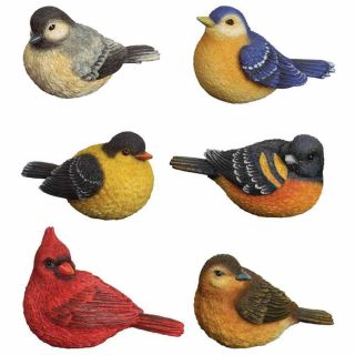 Set Of 6 Resin Songbird Figurines From Carson Home Accents