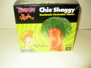 Shaggy Chia Pet Head Cartoon Network Nos Scooby Doo