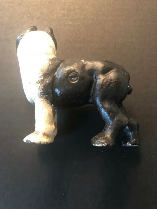 Uncertain Age Toys Boston Bull Terrier Cast Iron Still Dog Bank 3