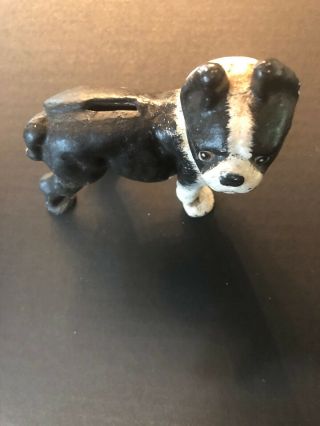 Uncertain Age Toys Boston Bull Terrier Cast Iron Still Dog Bank 4