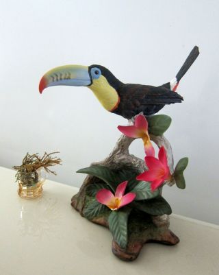 Edward Marshal Boehm Keel Billed Toucan 40572 A Bird Figurine 2000