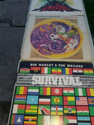 8 Bob Marley & The Wailers Natty Dread Lp
