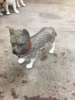 Pre 1900 Early German Bisque Porcelain Grey Cairn Terrier Dog 