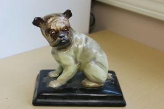 Antique Vintage H&k Tunstall England English Bulldog Figurine