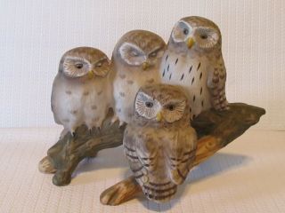 Aman Four Owls On Branch Vintage Wise Old Woodland Owls Porcelain Figurine