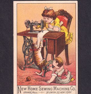 Antique Home Sewing Machine Brooklyn Ny Tabby Cat Old Victorian Trade Card