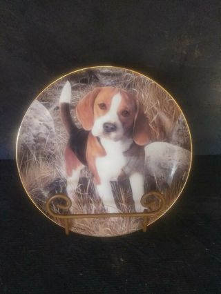 Danbury Simon Mendez Why Not Beagle Limited Edition Plate