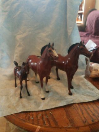 Two 50s To 60s Standing Walking Hartlands For Western Riders Plus Foal