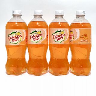 Canada Dry Peach Soda 20 Oz Rare Exotic Pop 4 Pack Discontinued Limited 591 Ml