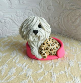 Coton De Tulear Clay Mini Sculpture By Raquel From Thewrc Or White Havanese