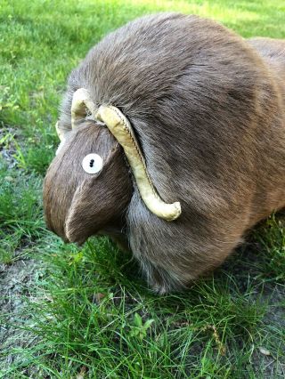 Vintage Real Musk Ox Fur Figurine Toy/statue Taxidermy From Canadian Arctic Wow