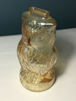Vintage Clear Glass Owl Piggy Bank Still Coin Bank,  Reads “be Wise” Bottom Front