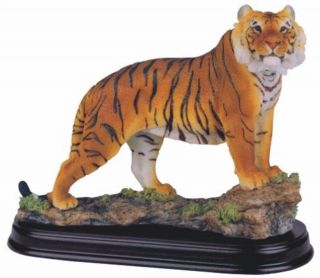 Nature Bengal Tiger Collectible Statue Jungle Wild Animal Decoration Figurine