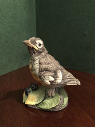Boehm Fledgling Robin Porcelain Bird Figurine 400 - 74 Made In The Usa
