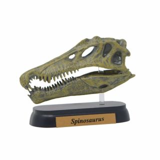 Favorite Spinosaurus Skull Dinosaur Mini model Figure Designed by H.  Tokugawa 2