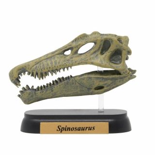 Favorite Spinosaurus Skull Dinosaur Mini model Figure Designed by H.  Tokugawa 3
