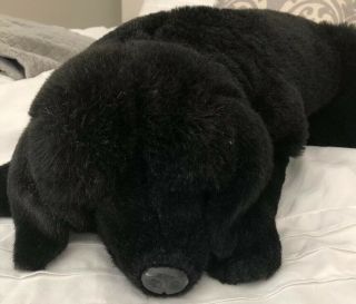Ditz Designs Black Dog Plush Stuffed Animal Realistic Puppy Hen House 20 