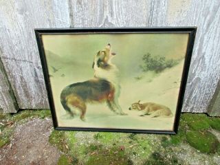 Large Framed Lithograph Collie Shepard Dog Print By Walter Hunt " Shepards Call "