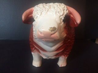 Vintage Chalkware Piggy Bank Nebraska the Beef State Promotional Hereford Steer 3