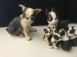 Adorable Vintage (antique?) Ceramic Boston Bull Terrier Figurine Family