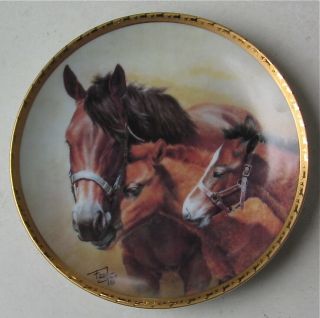 Horse Collectors Limited Edition Plate Pasture Pest