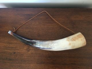 Vintage Steer Blow Horn 20,  Inches Long