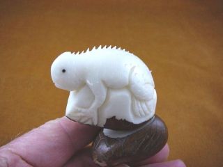 Tne - Liz - Ig - 122) Iguana Lizard Tagua Nut Tusk Figurine Carving Vegetable Carved
